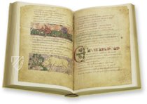 Stuttgarter Bilderpsalter (Parchment Edition) Facsimile Edition