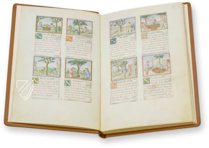 Tacuinum Sanitatis – Akademische Druck- u. Verlagsanstalt (ADEVA) – Cod. Vindob. 2396 – Österreichische Nationalbibliothek (Vienna, Austria)