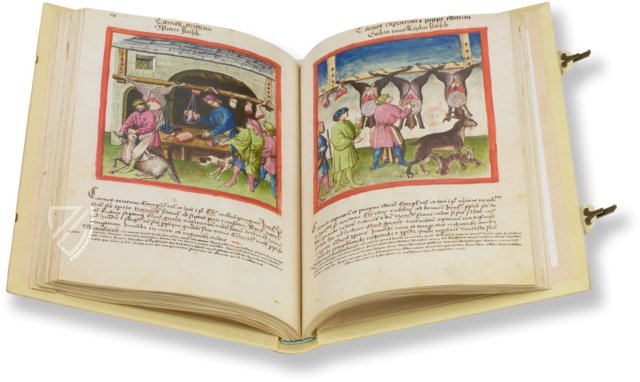 Tacuinum Sanitatis - Codex Paris – M. Moleiro Editor – Ms. Lat 9333 – Bibliothèque nationale de France (Paris, France)