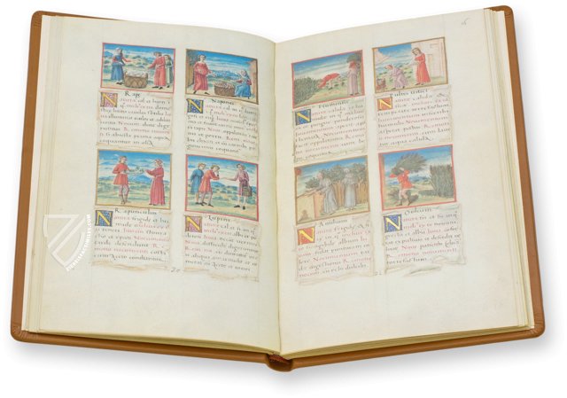 Tacuinum Sanitatis - Codex Vienna – Akademische Druck- u. Verlagsanstalt (ADEVA) – Cod. Vindob. 2396 – Österreichische Nationalbibliothek (Vienna, Austria)