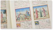 Tacuinum Sanitatis - Codex Vienna – Akademische Druck- u. Verlagsanstalt (ADEVA) – Cod. Vindob. 2396 – Österreichische Nationalbibliothek (Vienna, Austria)
