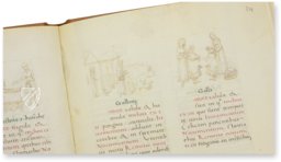 Tacuinum Sanitatis - Codex Vienna – Akademische Druck- u. Verlagsanstalt (ADEVA) – Cod. Vindob. 2396 – Österreichische Nationalbibliothek (Vienna, Austria)