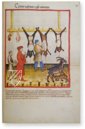Tacuinum Sanitatis in Medicina – Cod. Vindob. S. N. 2644 – Österreichische Nationalbibliothek (Vienna, Austria) Facsimile Edition