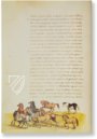 The Animal Book of Pier Candido – Belser Verlag – Urb. lat. 276 – Biblioteca Apostolica Vaticana (Vatican City, State of the Vatican City)