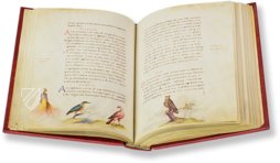 The Animal Book of Pier Candido – Belser Verlag – Urb. lat. 276 – Biblioteca Apostolica Vaticana (Vatican City, State of the Vatican City)