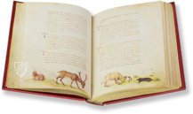 The Animal Book of Pier Candido – Belser Verlag – Urb. lat. 276 – Biblioteca Apostolica Vaticana (Vatican City, State of the Vatican City)