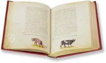 The Animal Book of Pier Candido – Belser Verlag – Urb. lat. 276 – Biblioteca Apostolica Vaticana (Vatican City, State of the Vatican City)