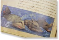 The Animal Book of Pier Candido – Belser Verlag – Urb. lat. 276 – Biblioteca Apostolica Vaticana (Vatican City, State of the Vatican City)