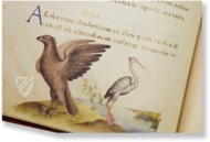 The Animal Book of Pier Candido – Belser Verlag – Urb. lat. 276 – Biblioteca Apostolica Vaticana (Vatican City, State of the Vatican City)