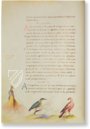 The Animal Book of Pier Candido – Belser Verlag – Urb. lat. 276 – Biblioteca Apostolica Vaticana (Vatican City, State of the Vatican City)