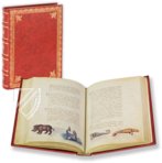 The Animal Book of Pier Candido – Belser Verlag – Urb. lat. 276 – Biblioteca Apostolica Vaticana (Vatican City, State of the Vatican City)