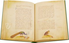 The Animal Book of Pier Candido – Belser Verlag – Urb. lat. 276 – Biblioteca Apostolica Vaticana (Vatican City, State of the Vatican City)