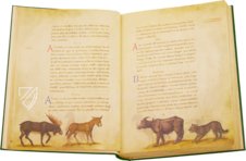 The Animal Book of Pier Candido – Belser Verlag – Urb. lat. 276 – Biblioteca Apostolica Vaticana (Vatican City, State of the Vatican City)