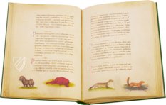 The Animal Book of Pier Candido – Belser Verlag – Urb. lat. 276 – Biblioteca Apostolica Vaticana (Vatican City, State of the Vatican City)