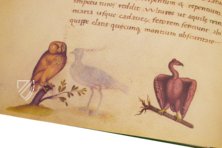 The Animal Book of Pier Candido – Belser Verlag – Urb. lat. 276 – Biblioteca Apostolica Vaticana (Vatican City, State of the Vatican City)