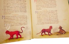 The Animal Book of Pier Candido – Belser Verlag – Urb. lat. 276 – Biblioteca Apostolica Vaticana (Vatican City, State of the Vatican City)