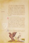 The Animal Book of Pier Candido – Belser Verlag – Urb. lat. 276 – Biblioteca Apostolica Vaticana (Vatican City, State of the Vatican City)