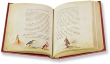 The Animal Book of Pier Candido – Belser Verlag – Urb. lat. 276 – Biblioteca Apostolica Vaticana (Vatican City, Vatican City State)