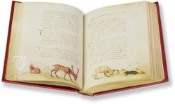 The Animal Book of Pier Candido – Belser Verlag – Urb. lat. 276 – Biblioteca Apostolica Vaticana (Vatican City, Vatican City State)