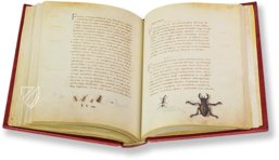 The Animal Book of Pier Candido – Belser Verlag – Urb. lat. 276 – Biblioteca Apostolica Vaticana (Vatican City, Vatican City State)