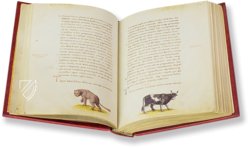 The Animal Book of Pier Candido – Belser Verlag – Urb. lat. 276 – Biblioteca Apostolica Vaticana (Vatican City, Vatican City State)