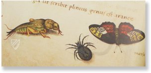 The Animal Book of Pier Candido – Belser Verlag – Urb. lat. 276 – Biblioteca Apostolica Vaticana (Vatican City, Vatican City State)