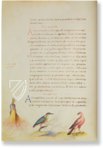 The Animal Book of Pier Candido – Belser Verlag – Urb. lat. 276 – Biblioteca Apostolica Vaticana (Vatican City, Vatican City State)