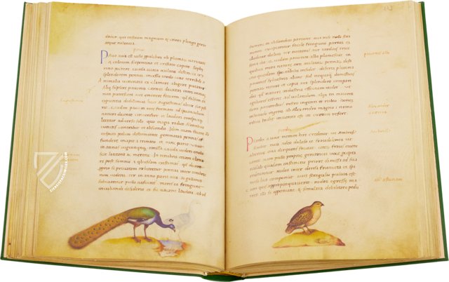 The Animal Book of Pier Candido – Belser Verlag – Urb. lat. 276 – Biblioteca Apostolica Vaticana (Vatican City, Vatican City State)