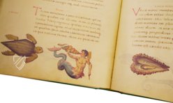 The Animal Book of Pier Candido – Belser Verlag – Urb. lat. 276 – Biblioteca Apostolica Vaticana (Vatican City, Vatican City State)