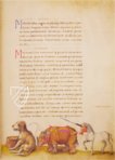 The Animal Book of Pier Candido – Belser Verlag – Urb. lat. 276 – Biblioteca Apostolica Vaticana (Vatican City, Vatican City State)