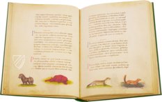 The Animal Book of Pier Candido – Belser Verlag – Urb. lat. 276 – Biblioteca Apostolica Vaticana (Vatican City, Vatican City State)