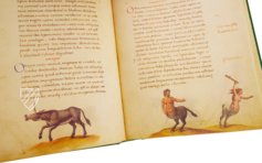 The Animal Book of Pier Candido – Belser Verlag – Urb. lat. 276 – Biblioteca Apostolica Vaticana (Vatican City, Vatican City State)