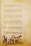 The Animal Book of Pier Candido – Belser Verlag – Urb. lat. 276 – Biblioteca Apostolica Vaticana (Vatican City, Vatican City State)