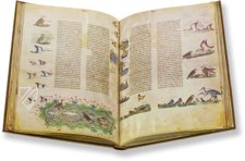 The Art of Falconry by Frederick II – Akademische Druck- u. Verlagsanstalt (ADEVA) – Pal. Lat. 1071 – Biblioteca Apostolica Vaticana (Vatican City, State of the Vatican City)