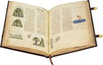 The Art of Falconry by Frederick II – Testimonio Compañía Editorial – Pal. Lat. 1071 – Biblioteca Apostolica Vaticana (Vatican City, State of the Vatican City)