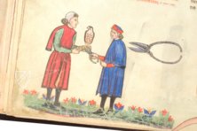 The Art of Falconry by Frederick II – Testimonio Compañía Editorial – Pal. Lat. 1071 – Biblioteca Apostolica Vaticana (Vatican City, Vatican City State)