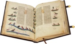 The Art of Falconry by Frederick II – Testimonio Compañía Editorial – Pal. Lat. 1071 – Biblioteca Apostolica Vaticana (Vatican City, Vatican City State)