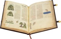 The Art of Falconry by Frederick II – Testimonio Compañía Editorial – Pal. Lat. 1071 – Biblioteca Apostolica Vaticana (Vatican City, Vatican City State)