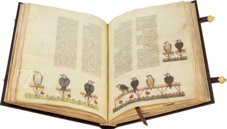 The Art of Falconry by Frederick II – Testimonio Compañía Editorial – Pal. Lat. 1071 – Biblioteca Apostolica Vaticana (Vatican City, Vatican City State)