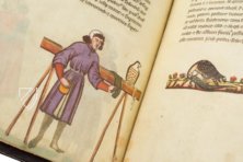The Art of Falconry by Frederick II – Testimonio Compañía Editorial – Pal. Lat. 1071 – Biblioteca Apostolica Vaticana (Vatican City, Vatican City State)