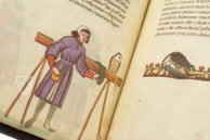 The Art of Falconry by Frederick II – Testimonio Compañía Editorial – Pal. Lat. 1071 – Biblioteca Apostolica Vaticana (Vatican City, Vatican City State)