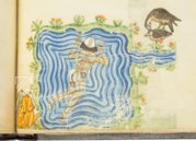 The Art of Falconry by Frederick II – Testimonio Compañía Editorial – Pal. Lat. 1071 – Biblioteca Apostolica Vaticana (Vatican City, Vatican City State)