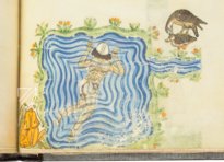 The Art of Falconry by Frederick II – Testimonio Compañía Editorial – Pal. Lat. 1071 – Biblioteca Apostolica Vaticana (Vatican City, Vatican City State)