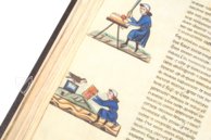 The Art of Falconry by Frederick II – Testimonio Compañía Editorial – Pal. Lat. 1071 – Biblioteca Apostolica Vaticana (Vatican City, Vatican City State)