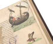 The Art of Falconry by Frederick II – Testimonio Compañía Editorial – Pal. Lat. 1071 – Biblioteca Apostolica Vaticana (Vatican City, Vatican City State)