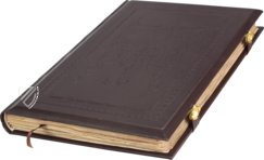 The Art of Falconry by Frederick II – Testimonio Compañía Editorial – Pal. Lat. 1071 – Biblioteca Apostolica Vaticana (Vatican City, Vatican City State)