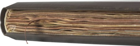 The Art of Falconry by Frederick II – Testimonio Compañía Editorial – Pal. Lat. 1071 – Biblioteca Apostolica Vaticana (Vatican City, Vatican City State)