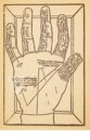 The Art of Palmistry by Dr. Hartlieb – Verlag der Münchner Drucke – Xylogr. 35 – Bayerische Staatsbibliothek (Munich, Germany) The Art of Palmistry by Dr. Hartlieb – Verlag der Münchner Drucke – Xylogr. 35 – Bayerische Staatsbibliothek (Munich, Germany)