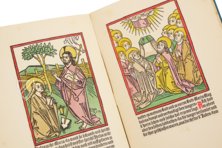 The Augsburg Passion from 1480 – Gustav Kiepenheuer – 4 Inc.c.a. 169 – Bayerische Staatsbibliothek (Munich, Germany) The Augsburg Passion from 1480 – Gustav Kiepenheuer – 4 Inc.c.a. 169 – Bayerische Staatsbibliothek (Munich, Germany)