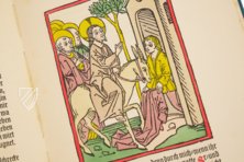 The Augsburg Passion from 1480 – Gustav Kiepenheuer – 4 Inc.c.a. 169 – Bayerische Staatsbibliothek (Munich, Germany) The Augsburg Passion from 1480 – Gustav Kiepenheuer – 4 Inc.c.a. 169 – Bayerische Staatsbibliothek (Munich, Germany)